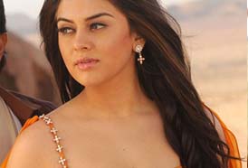 Hansika Motwani hot